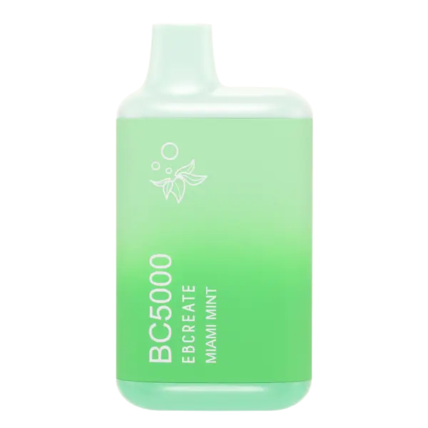 BUY 1 GET 1 FREE Miami Mint EB BC5000 | Vape Amazon India