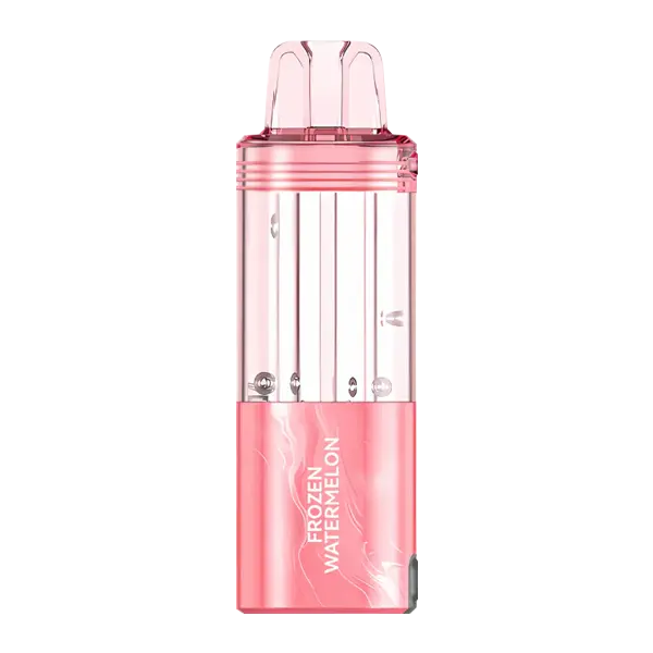 BUY 1 GET 1 FREE Frozen Watermelon FOGER Switch Pro Disposable | Vape Flipkart
