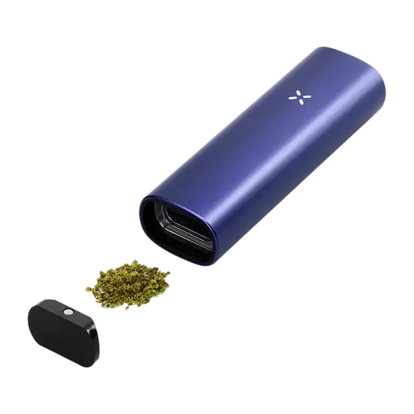 BUY 1 GET 1 FREE PAX Plus Starter Kit | Vape Amazon India Pax