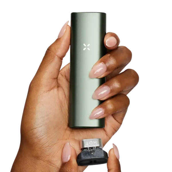 BUY 1 GET 1 FREE PAX Plus Complete Kit | Vape Amazon India Pax