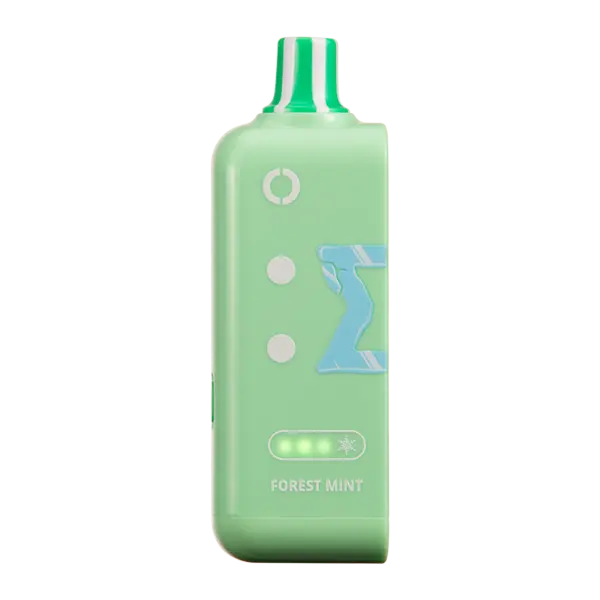 BUY 1 GET 1 FREE Forest Mint Ice Off Stamp Ice Cube | Vape Flipkart