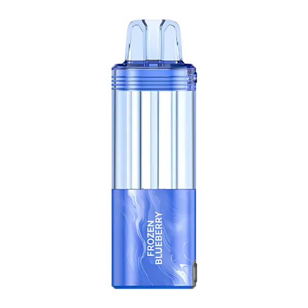BUY 1 GET 1 FREE Frozen Blueberry FOGER Switch Pro Disposable | Vape Flipkart